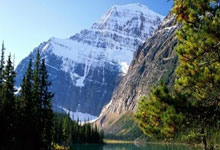 荷兰队攻势如潮，实现惊艳逆转